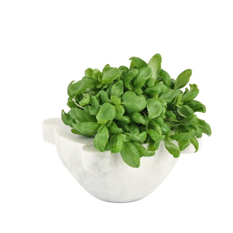 Mortaio In Bambù 10x10 Cm Con Pestello - Per Macinare Spezie, Aglio Ed Erbe In Cucina - Foto 7