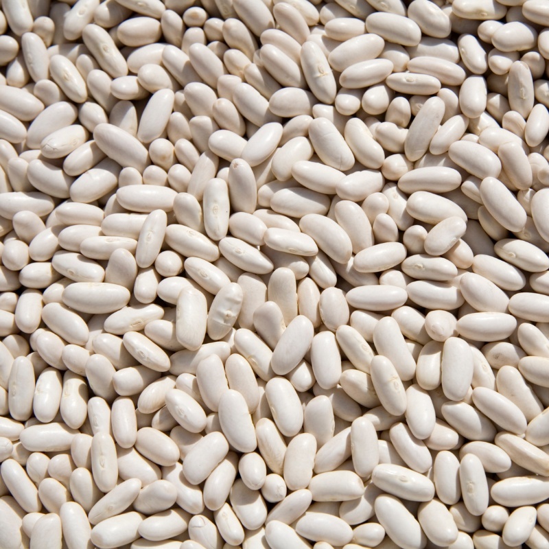 Cannellini Beans, 500 gr - Sapori di Norcia
